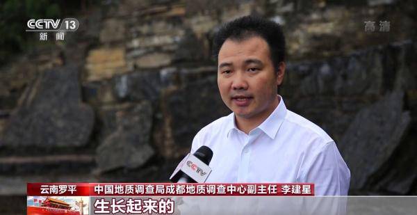 侏罗纪|云南禄丰恐龙科考工作进入“啃硬骨头”阶段 恐龙化石是如何修复的呢？