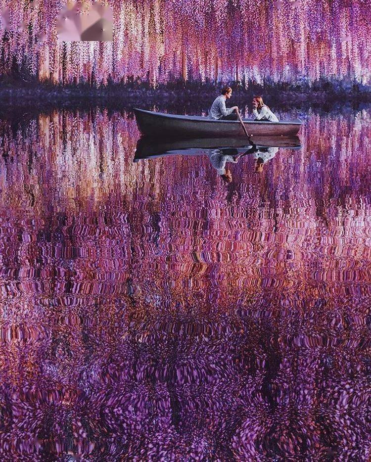 惊艳!她们在最美的地方,穿上最美的裙子,拍下这些最美的照片