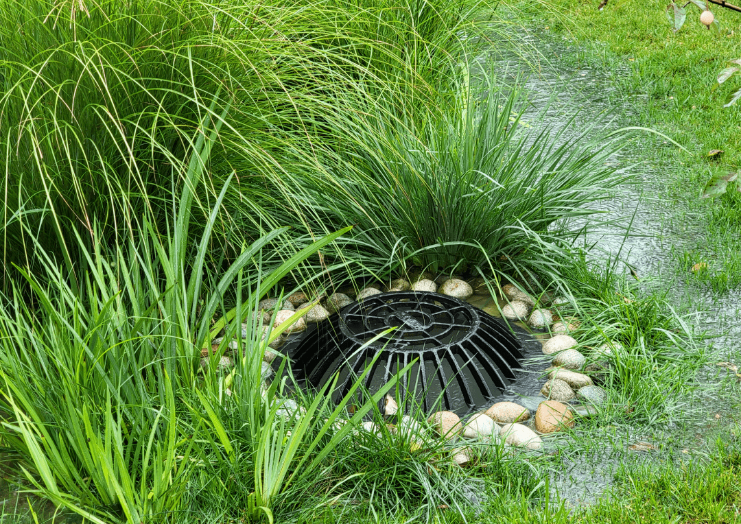 沣西文化公园零能耗游泳馆亮相玩转生态文化