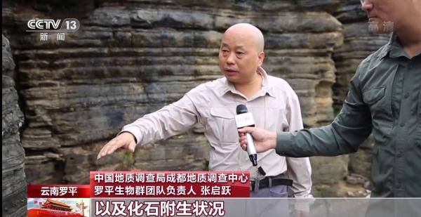 侏罗纪|云南禄丰恐龙科考工作进入“啃硬骨头”阶段 恐龙化石是如何修复的呢？