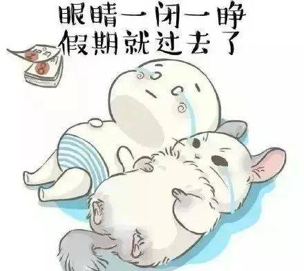 763706eaa5fe476d8cd1504fe9e1c95b.jpeg