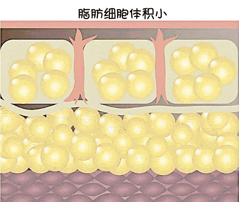 492_416gif 动态图 动图