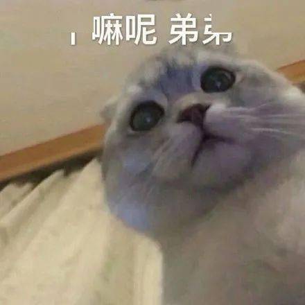 b3611bd4d1584773b86a45c3316f4e45.jpeg