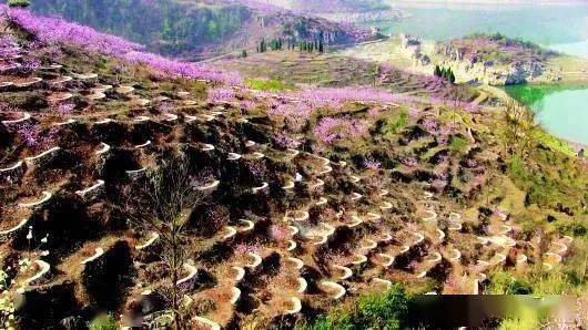 地理拓展水平阶鱼鳞坑草方格都有什么神奇的地理作用