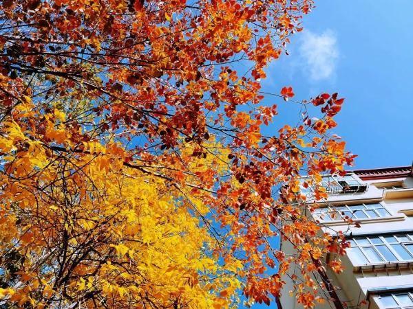 乌鲁木齐市|寒露至，秋更浓，幸福不过有人为你添衣