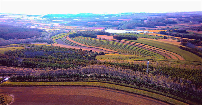 【云游龙江】生态家园 醉美拜泉