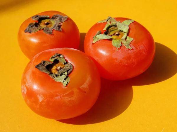 乌鲁木齐市|寒露至，秋更浓，幸福不过有人为你添衣