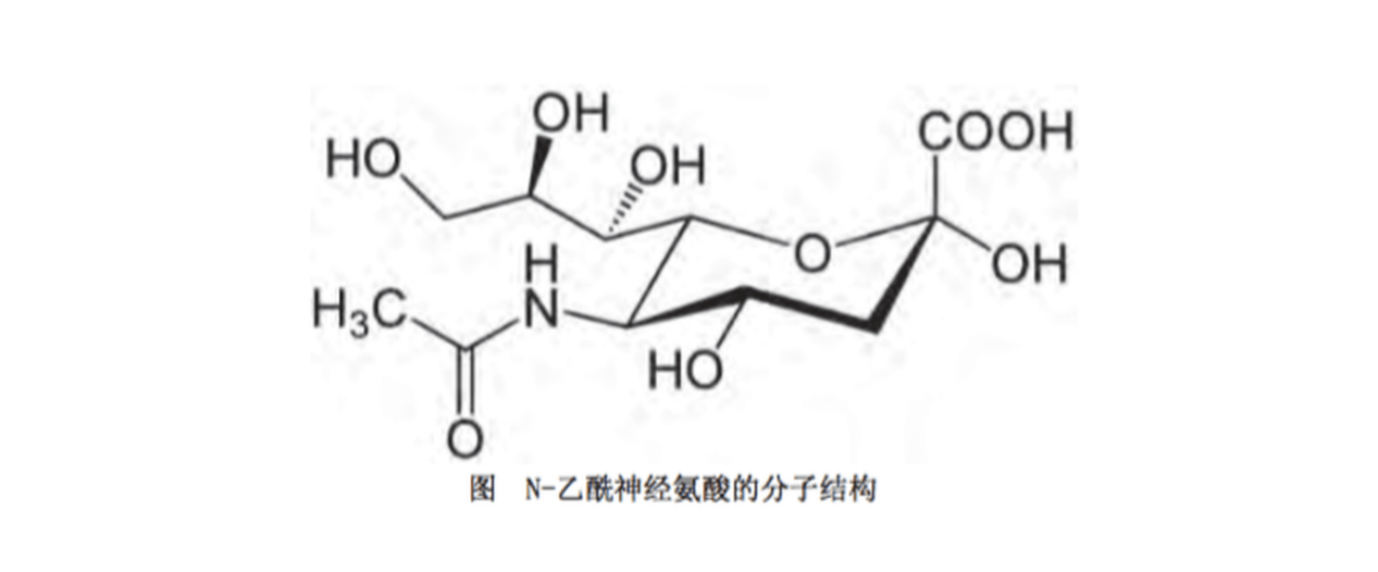 对于我们人类来说,唾液酸就是特指"n-乙酰神经氨酸".