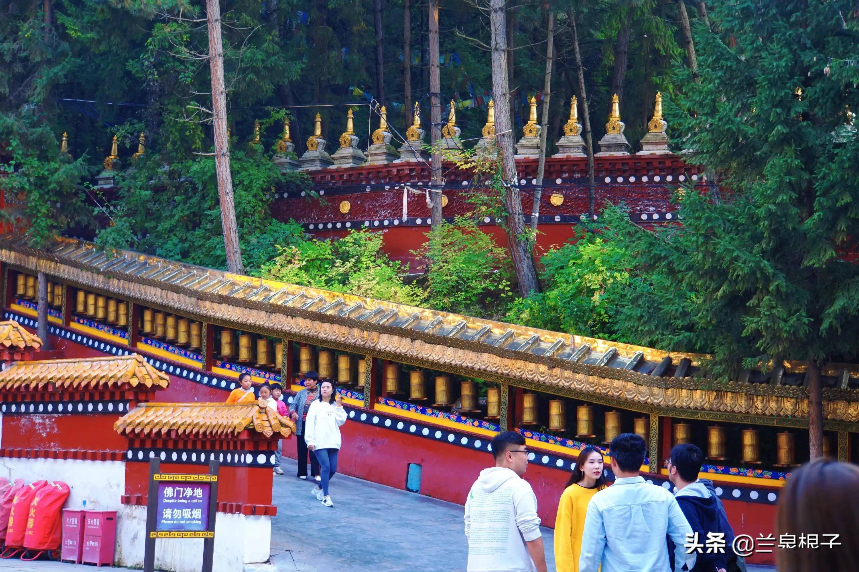 蘭州石佛溝景區雲頂山秋韻惹人醉