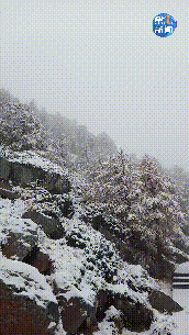 渭南、华山将迎雨夹雪、降温天气！这里下雪了，难怪这么冷
