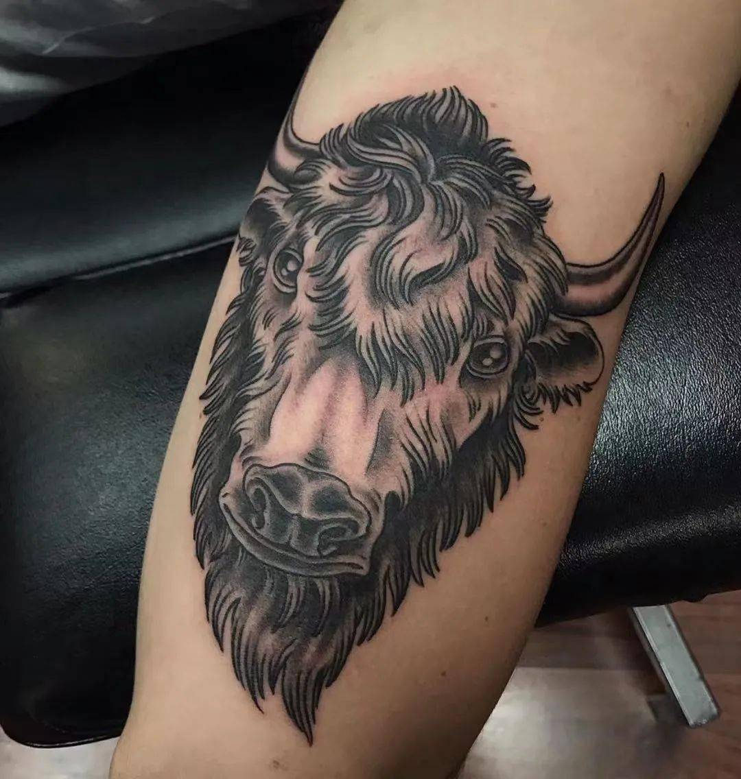 雪域高原的神舟牦牛纹身