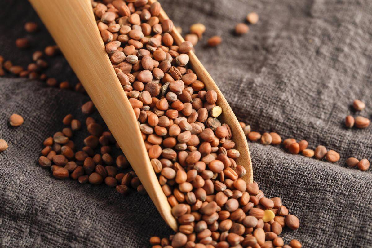 晚清时期,一位郎中正是凭区区3钱莱菔子换了个"红顶子".