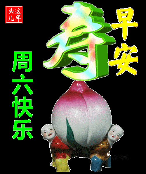 500_595gif 动态图 动图