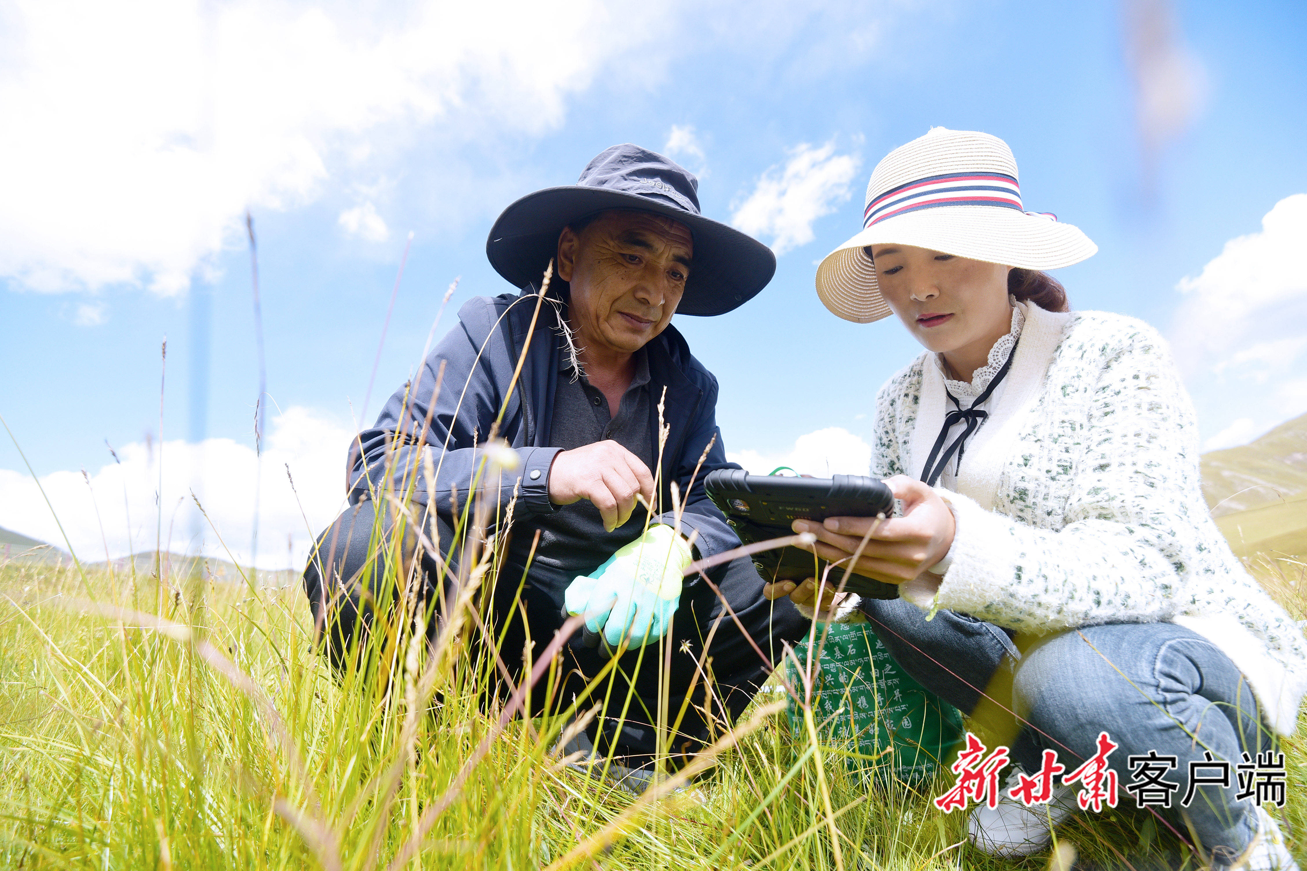 屏障|甘南：绿水青山筑起生态屏障