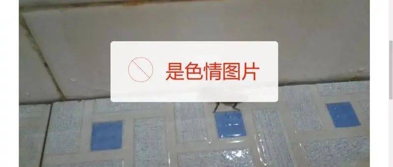 AI识图能有多野？_识别