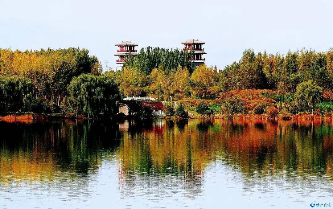 张掖市甘州区秋色连波秋意浓