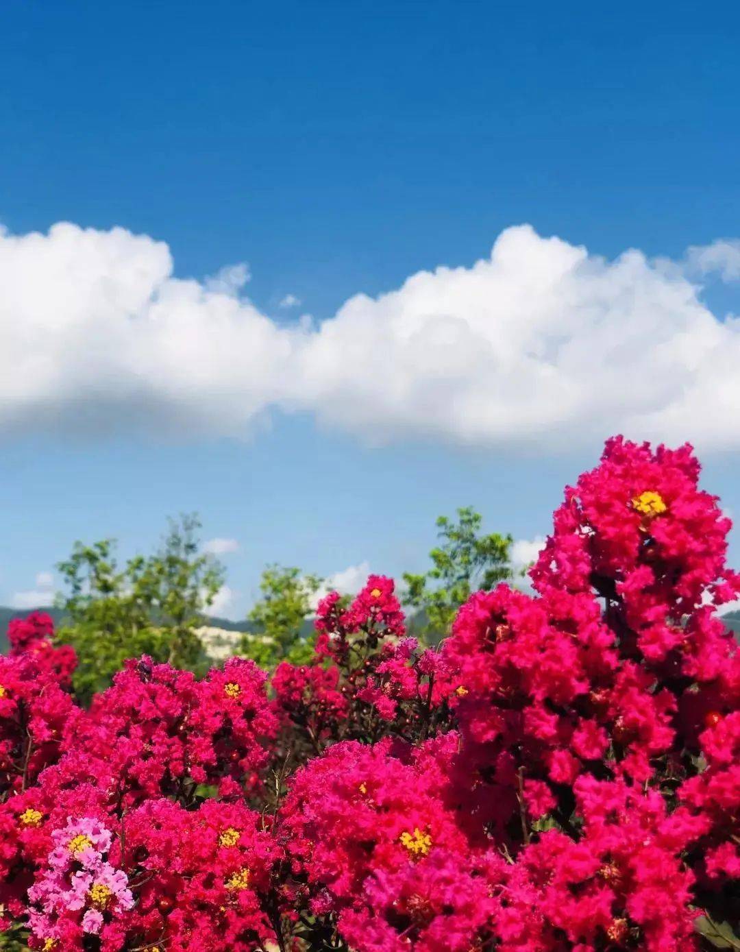 网红景区 | ￥40元起,抢购【温岭后岭花开·嬉栖谷套票】高空滑索