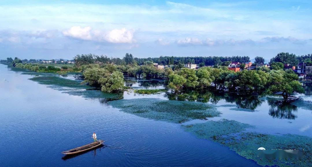 庐江摄影作品首次入选国展展现伟大抗洪精神