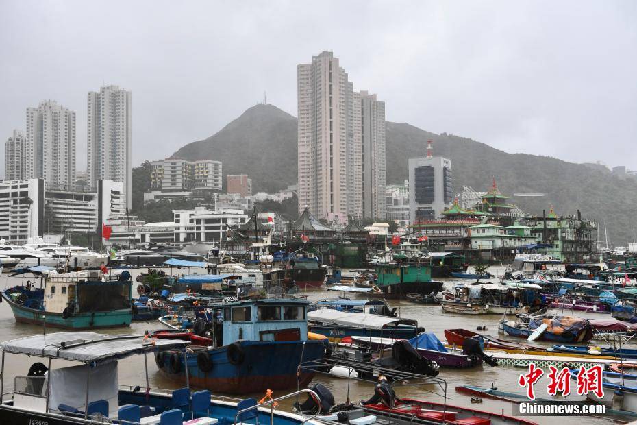 香港八号风球生效 市民外出观浪消遣