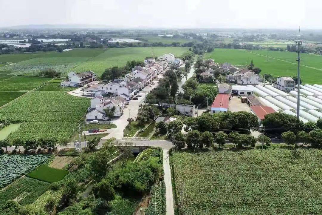 图片授权来源:万石镇镇政府