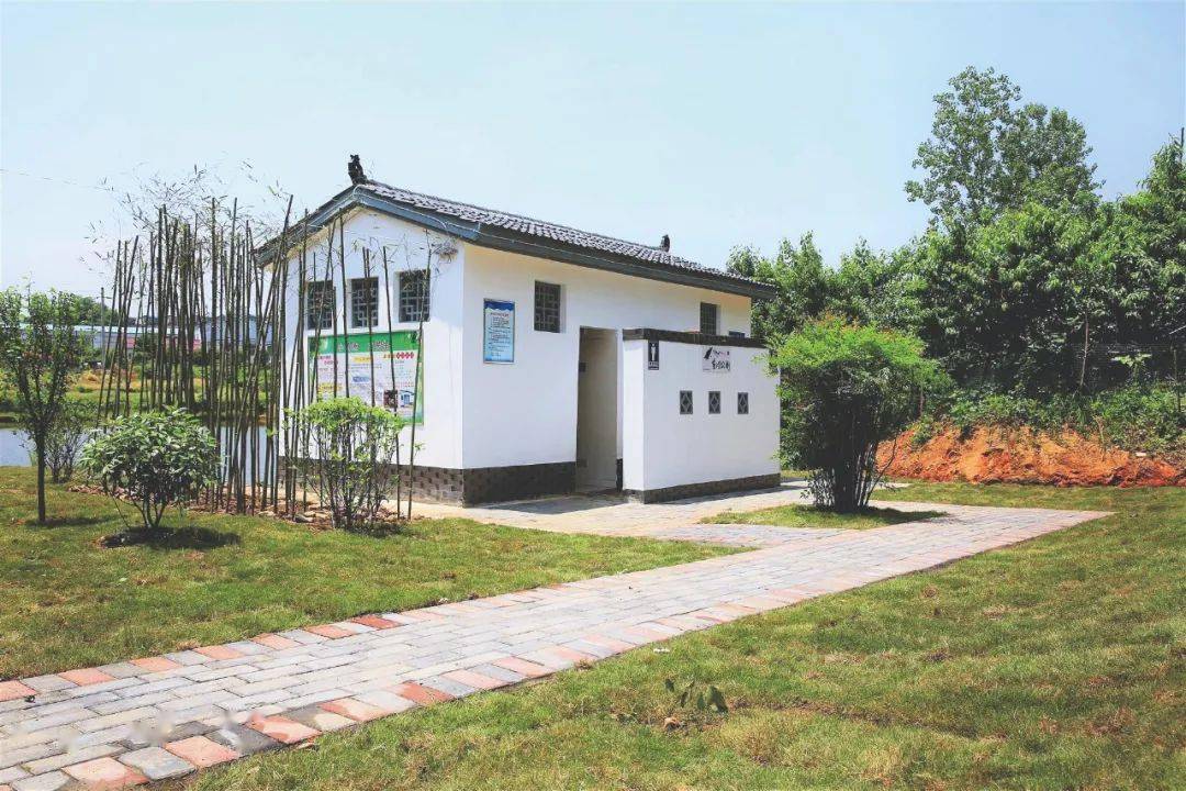 农业农村部农村社会事业促进司司长李伟国把农村厕所革命作为乡村振兴