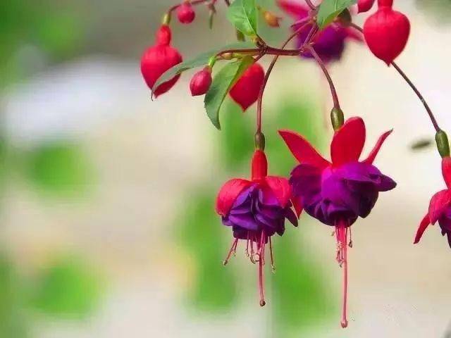 130�� · ������ͥ����ֲ������������֣�