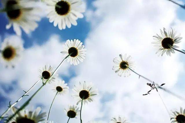 消息资讯如何巧妙安排照片中人、景、物的位置？