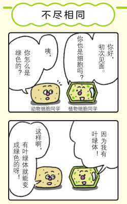 Michael钱儿频道 理科学习 想要孩子学懂会用不畏难 这个方式简单有趣对症 漫画