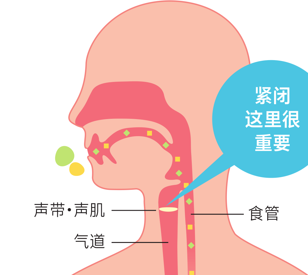 声带一边大一边小图片