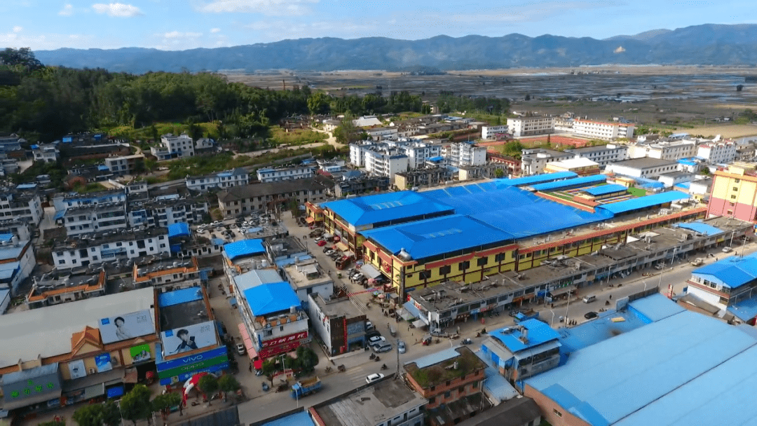 茶王勐海勇者之家美丽勐海需要您慢慢品味