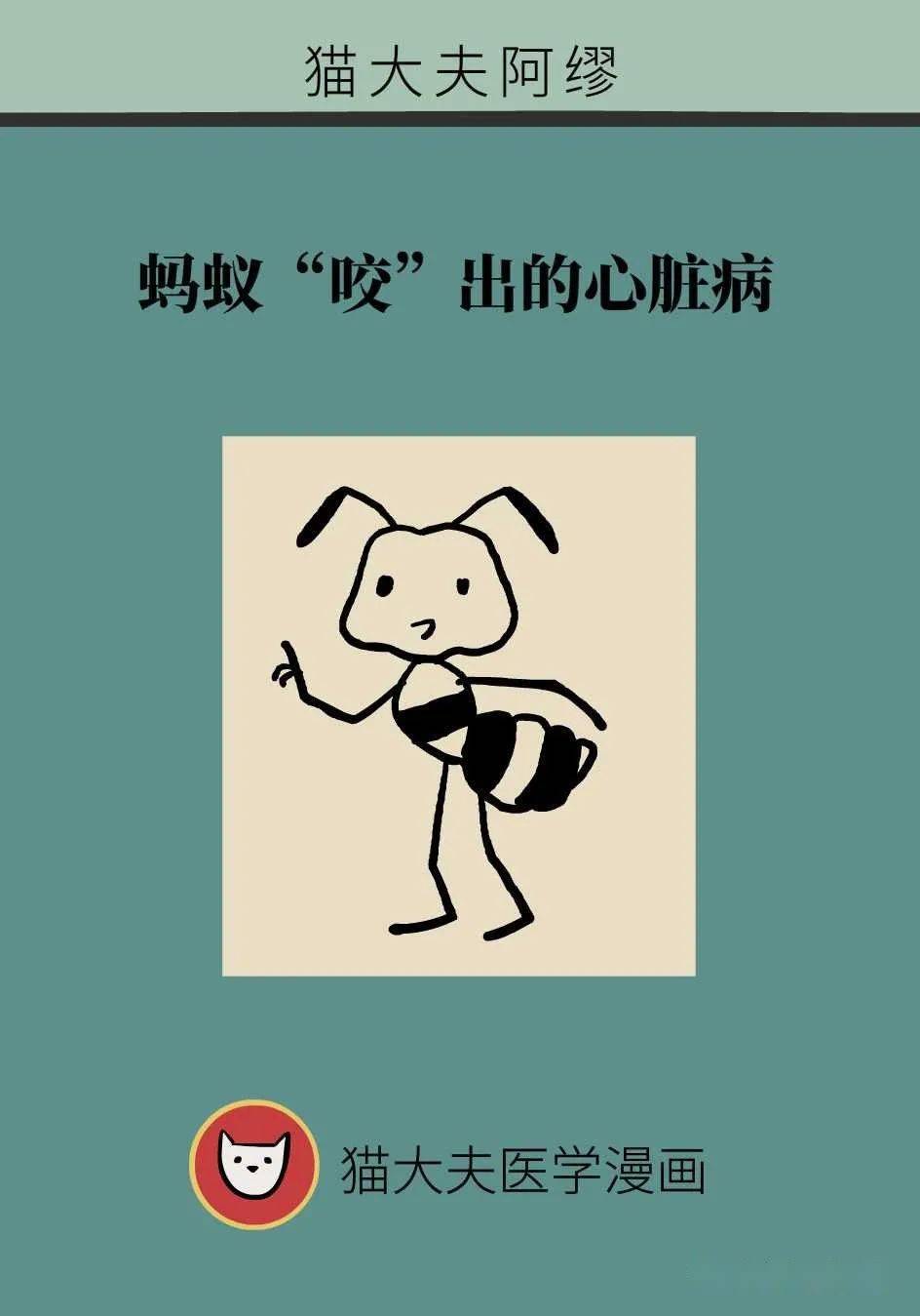 蚂蚁"咬"出的心脏病