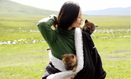 中国第一狼女 李微漪 十年前卖房救狼,十年后与狼再次相逢