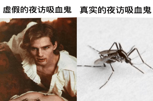 仿生小狗会梦到电子猫猫吗:@人造雨8号:@董超凡爱吃蛋炒饭:暴风城最