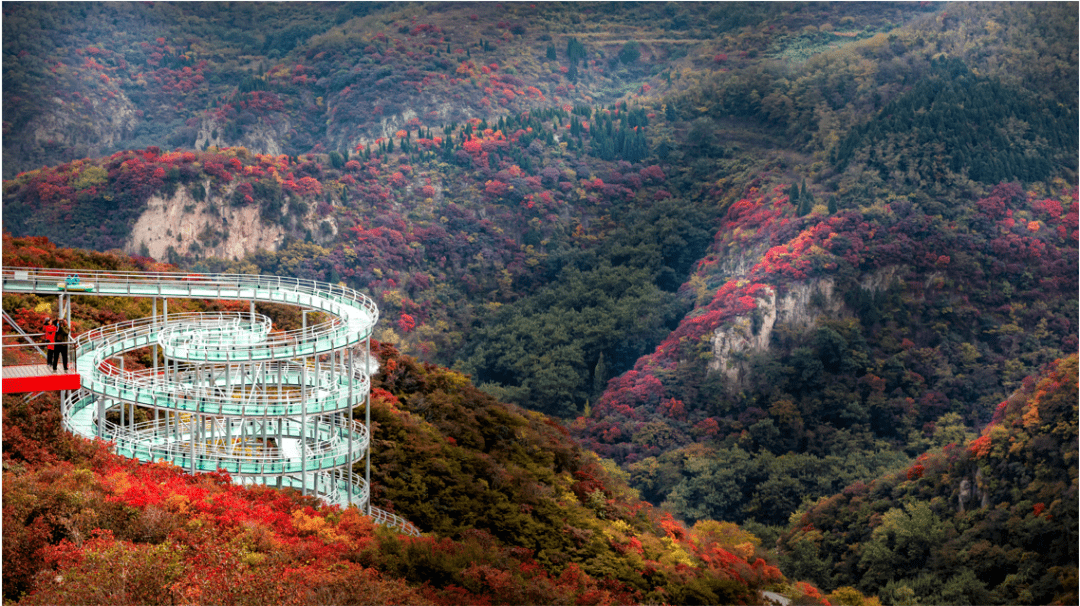 红叶柿岩景区玻璃栈道图片