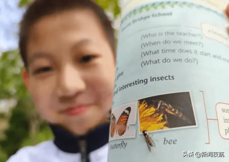 诛仙蜜蜂用英语怎么说