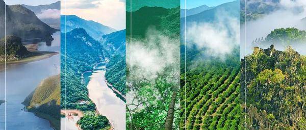 海南的热带雨林，有多美？