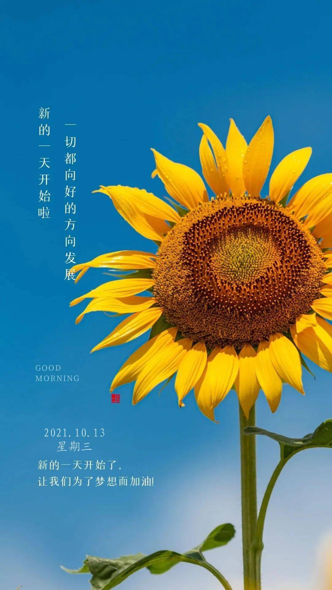 早上好,今天是2021年10月13日,星期三, 农历九月初八 新的一天又开始