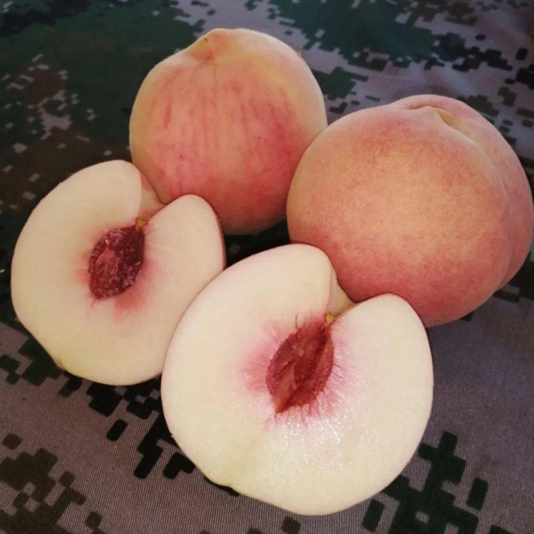 密云晚桃"元春"上市,甜蜜打开方式桃你喜欢