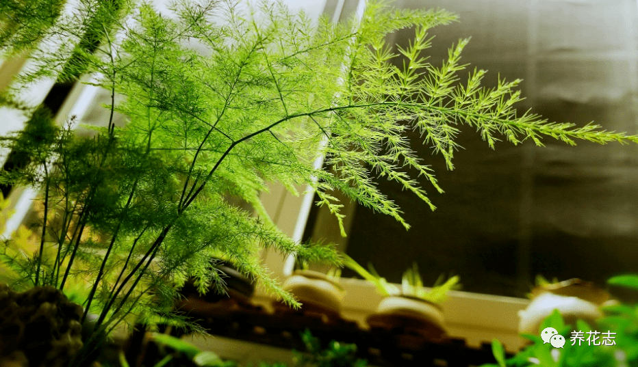 62d344a2cd864cd19b27df8ef4ac0dc3.png