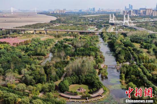 乱子|南京滨江湿地秋意浓