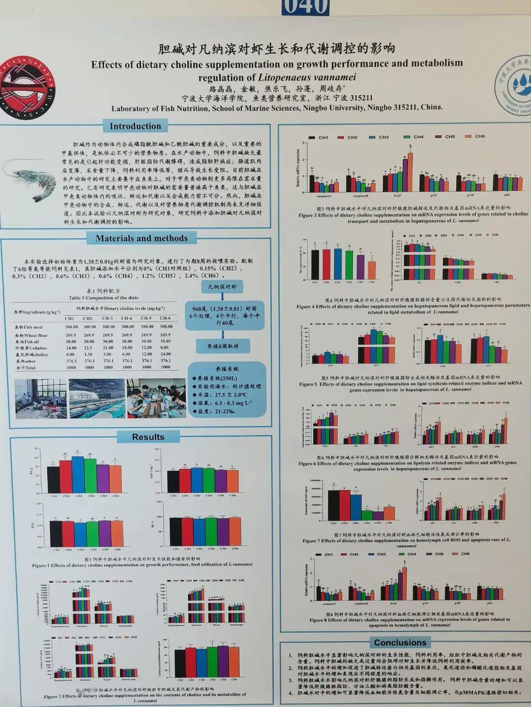 优秀学术会议墙报ppt图片