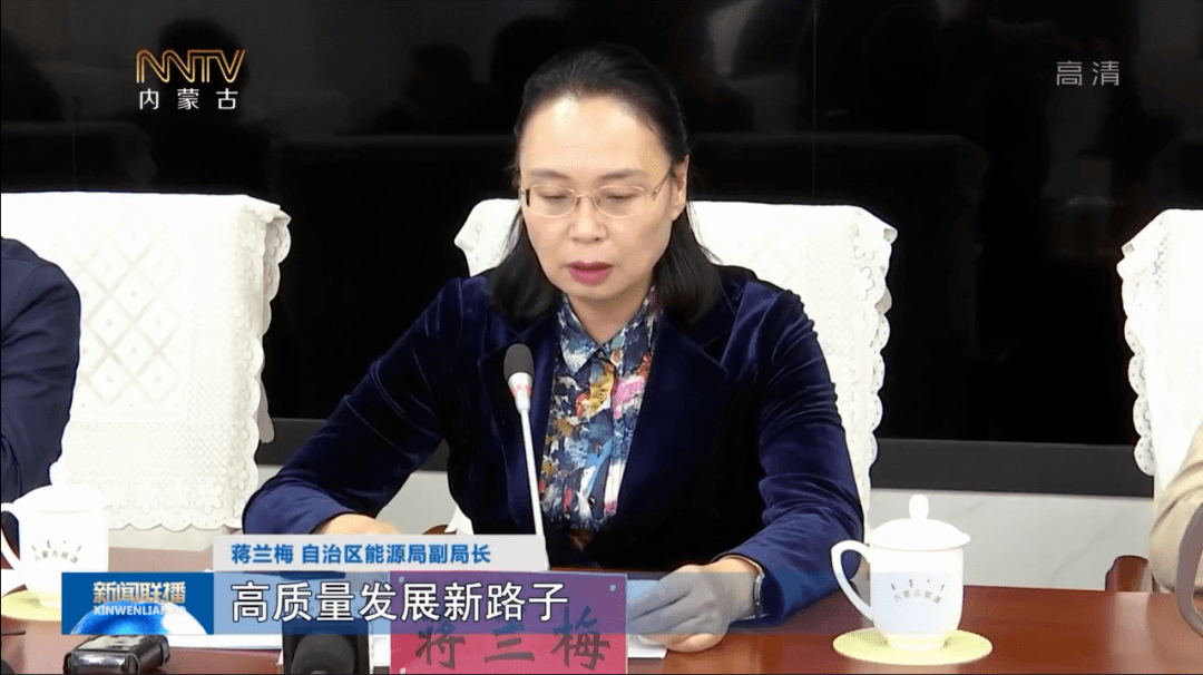 蒋兰梅 自治区能源局副局长:坚定不移地走生态优先