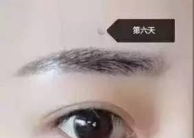 d2f3d72985654e14a7482458bb2c6ed4.jpeg