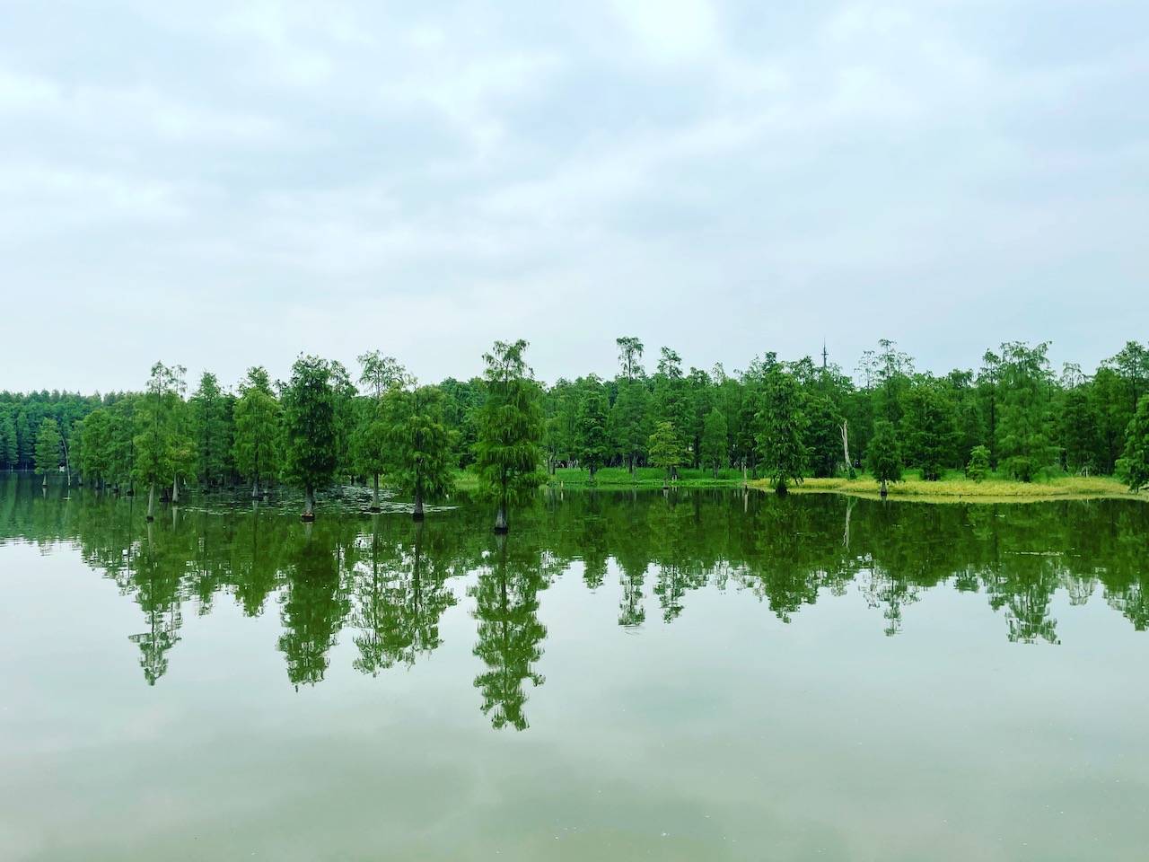 青浦|上海青浦莲湖村：长在公园里的村庄