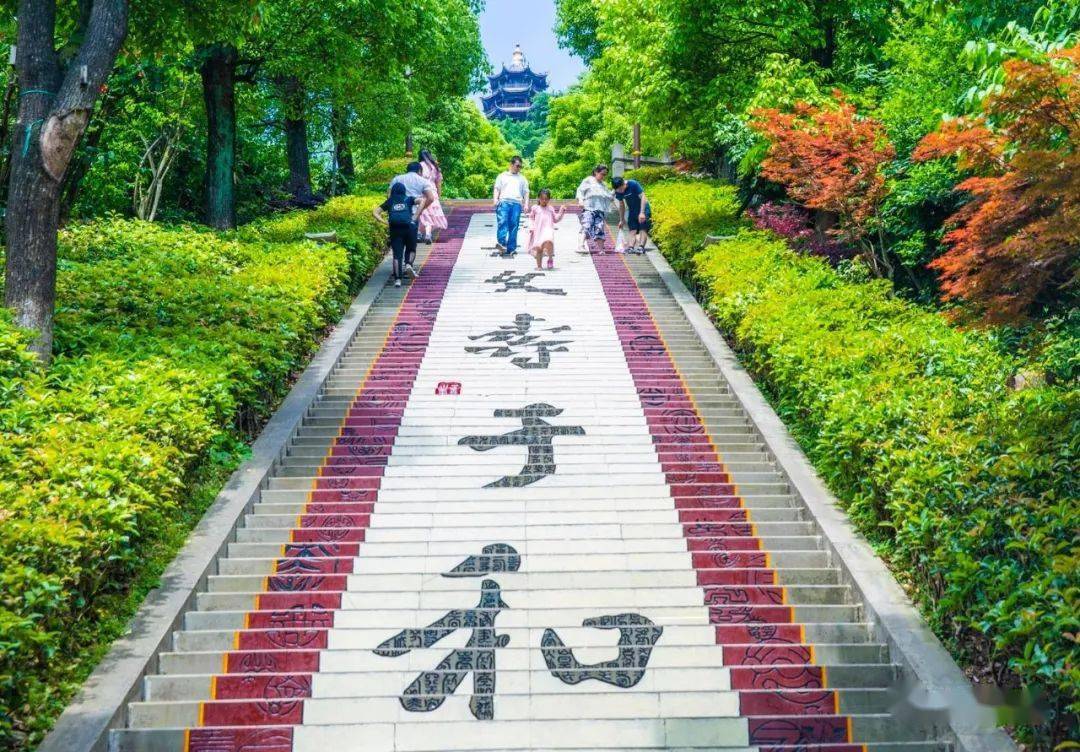 景色优美绝对是个好去处那么位于长寿城区西北侧的菩提山如果你不想走