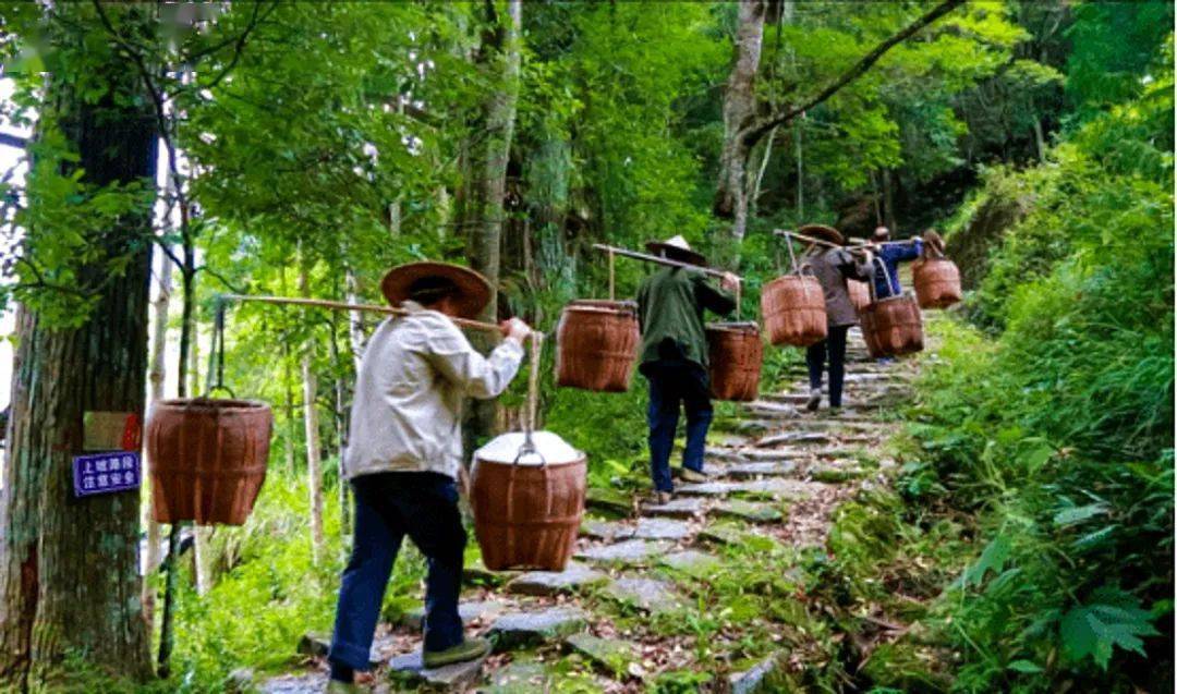 周末来屏南寿山茶盐古道探访最美古村落的秋色