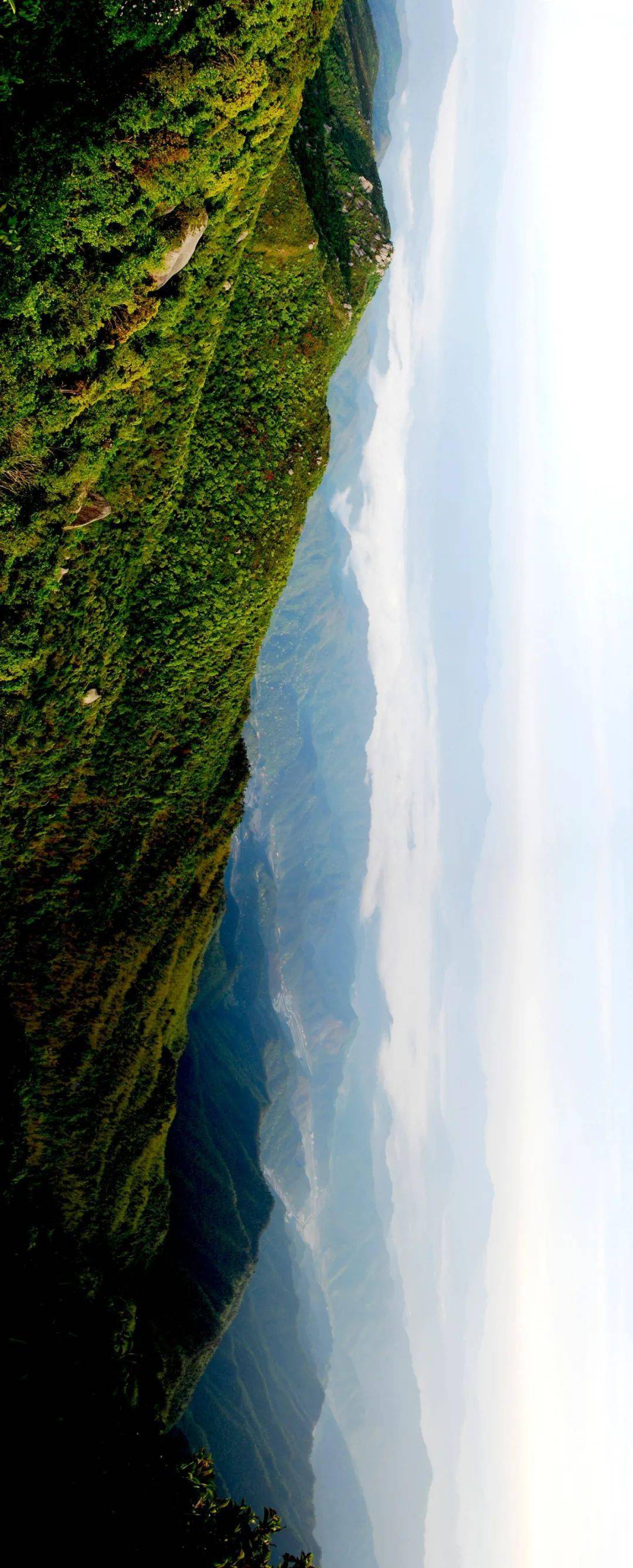 九岭山保护区图片