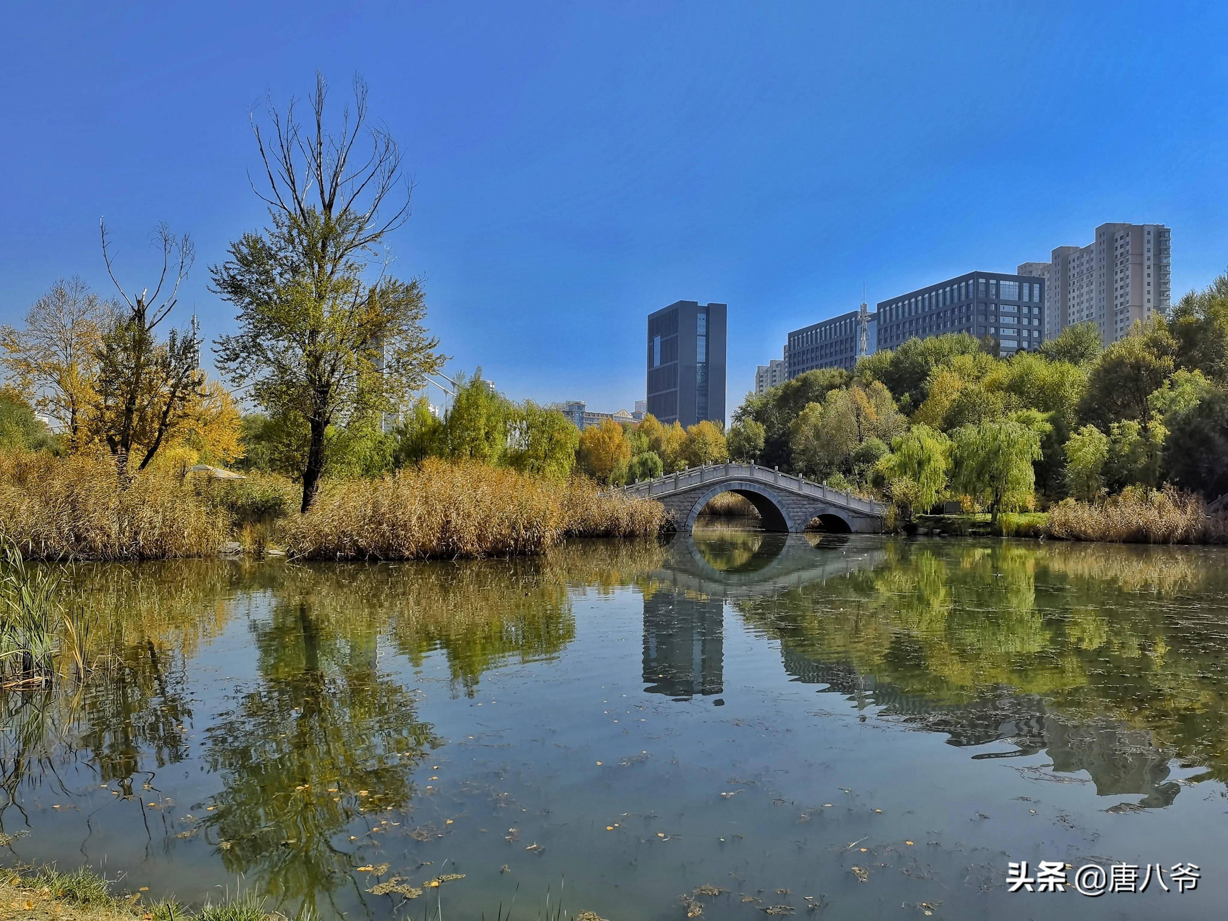 西宁湟水河图片图片