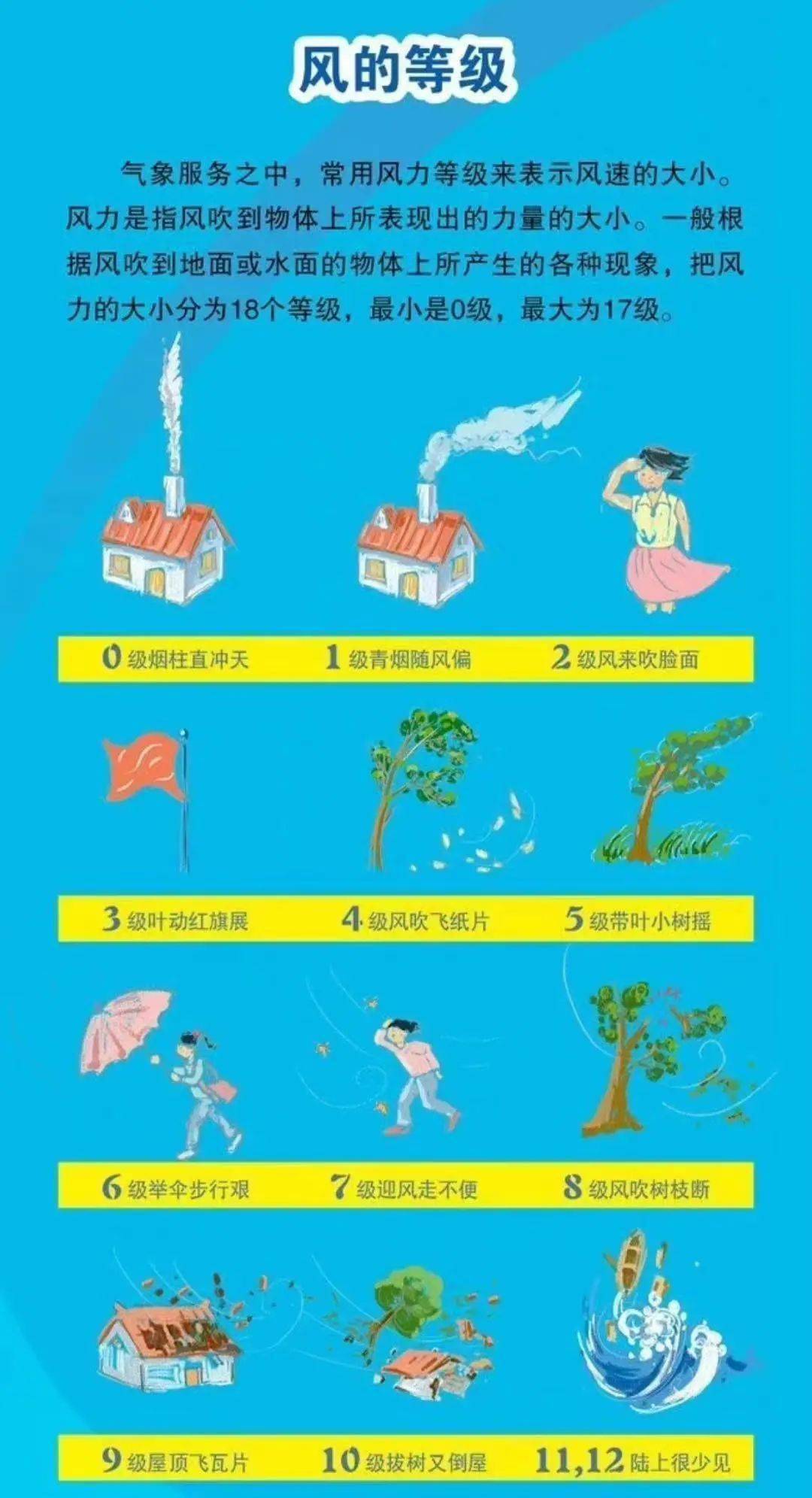 小心出门有"风"险!