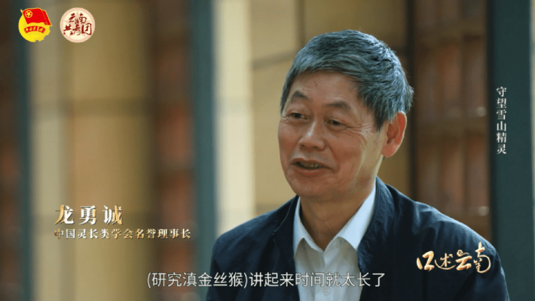 "云南,猴自在."_龙勇诚